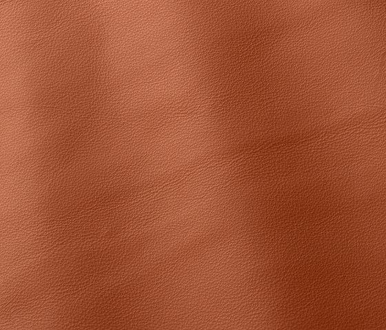 Linea 656 cotto | Natural leather | Gruppo Mastrotto