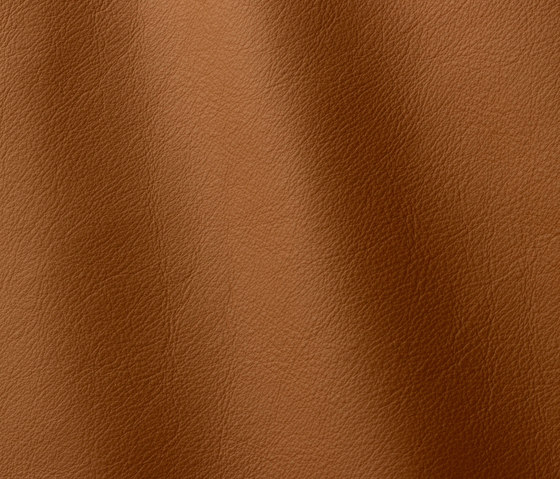 Linea 662 fondotinta | Natural leather | Gruppo Mastrotto