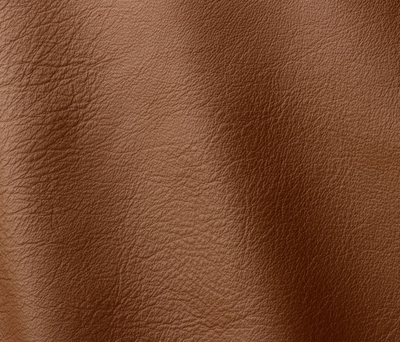 Linea 608 marrone | Natural leather | Gruppo Mastrotto