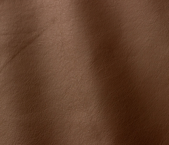 Linea 646 moretto | Natural leather | Gruppo Mastrotto