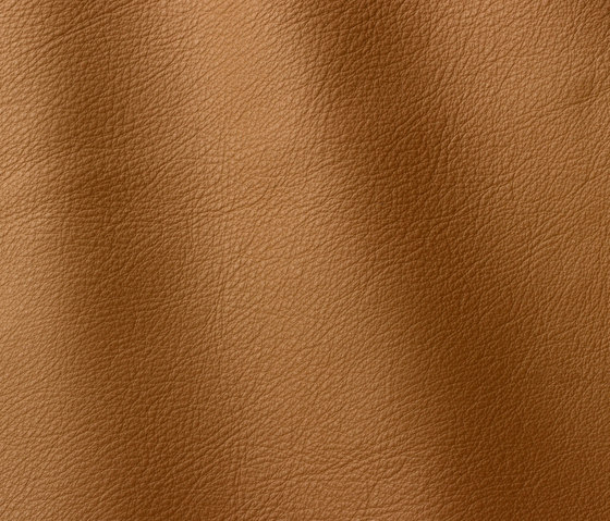 Linea 607 nocciola | Natural leather | Gruppo Mastrotto