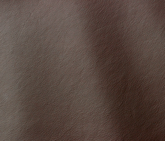 Linea 611 testa moro | Natural leather | Gruppo Mastrotto