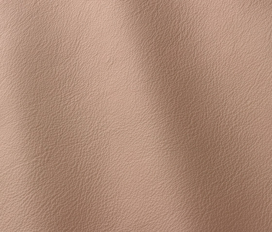 Linea 659 tortora | Natural leather | Gruppo Mastrotto