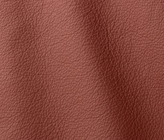 Ocean 435 allium | Natural leather | Gruppo Mastrotto