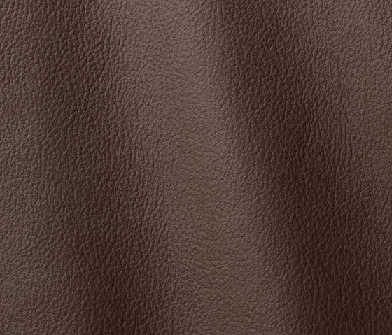 Ocean 437 bear | Natural leather | Gruppo Mastrotto