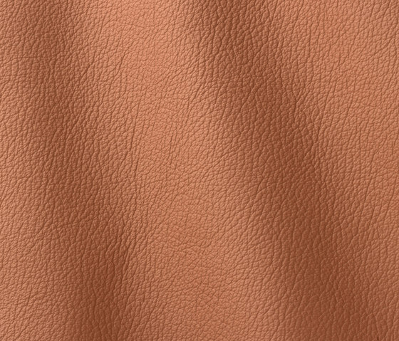 Ocean 434 biscuit | Natural leather | Gruppo Mastrotto
