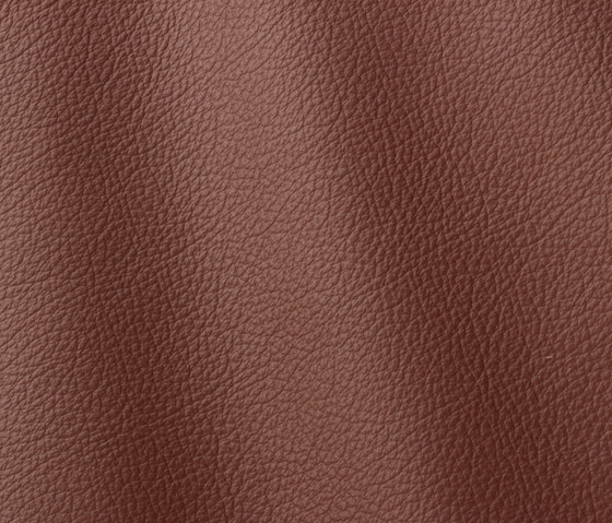 Ocean 413 brown | Natural leather | Gruppo Mastrotto