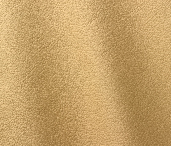 Ocean 431 desert | Natural leather | Gruppo Mastrotto