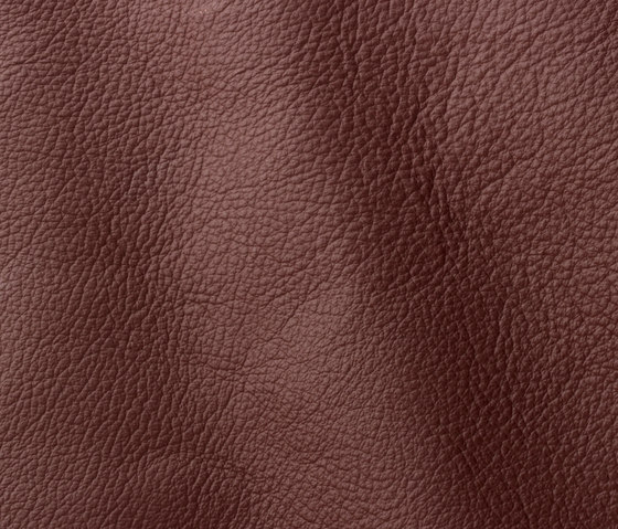 Ocean 436 donkey | Natural leather | Gruppo Mastrotto