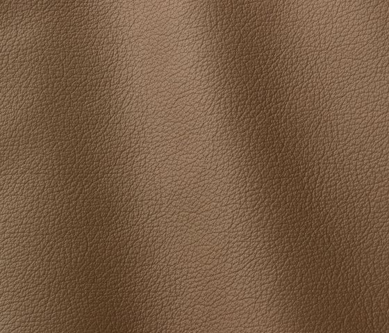 Ocean 407 fango | Natural leather | Gruppo Mastrotto