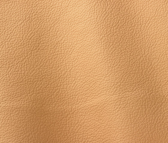 Ocean 432 sahara | Natural leather | Gruppo Mastrotto
