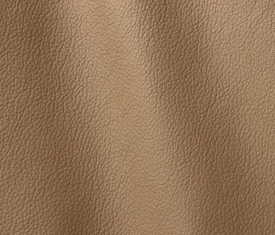 Ocean 429 sandy | Natural leather | Gruppo Mastrotto