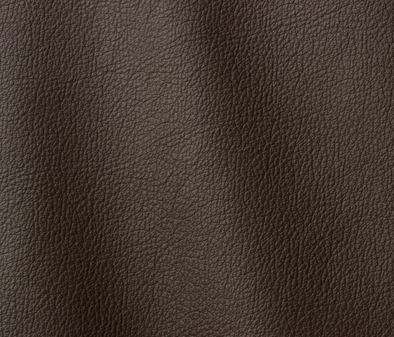 Ocean 420 testa di moro | Natural leather | Gruppo Mastrotto