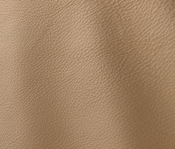 Prescott 215 avana | Natural leather | Gruppo Mastrotto