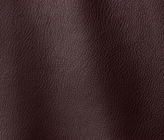 Prescott 236 carrubo | Natural leather | Gruppo Mastrotto
