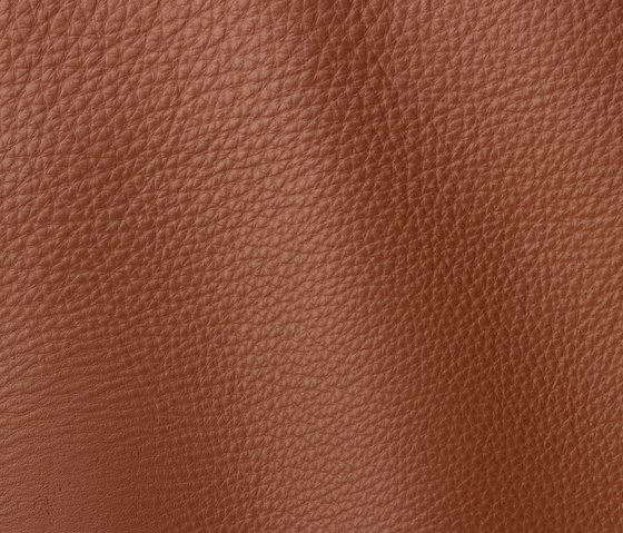 Prescott 228 cotto | Natural leather | Gruppo Mastrotto
