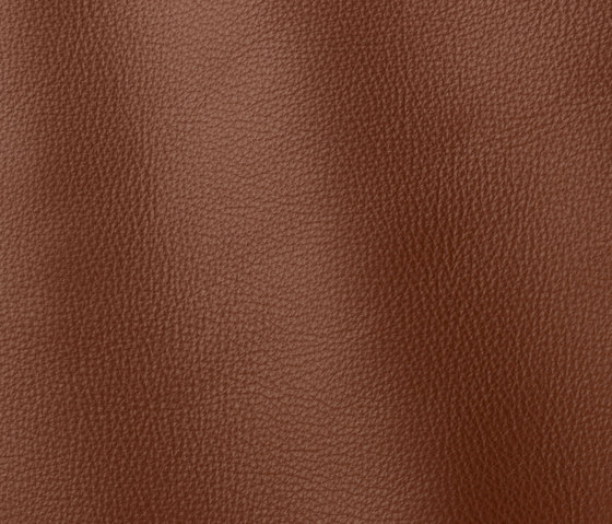 Prescott 289 hezelnut | Natural leather | Gruppo Mastrotto