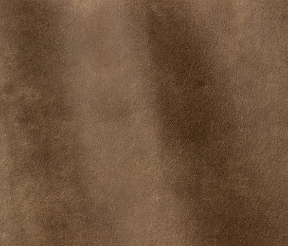 Sequoia 4003 terra | Natural leather | Gruppo Mastrotto