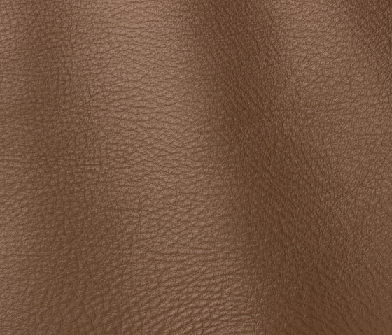 Prescott 216 antilop | Natural leather | Gruppo Mastrotto