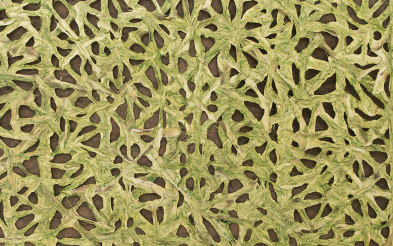 Spiderweb Woven Barkskin™ Willow | Wall coverings / wallpapers | Caba Barkskin