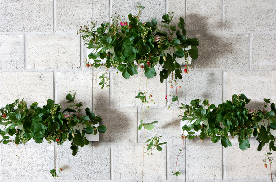 Hanging Garden | Plant pots | Urbanature