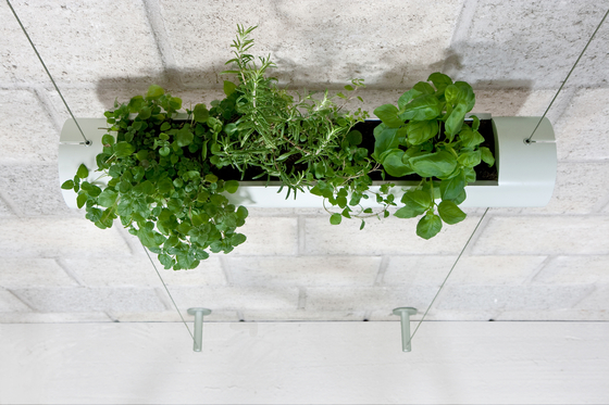 Hanging Garden | Plant pots | Urbanature
