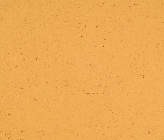 Colorette LPX 131-073 | Pavimenti linoleum | Armstrong
