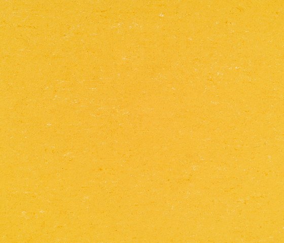 Colorette PUR 137-001 | Linoleum flooring | Armstrong