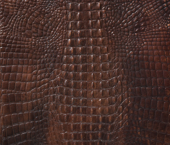 Kaiman tan | Baldosas de cuero | Alphenberg Leather