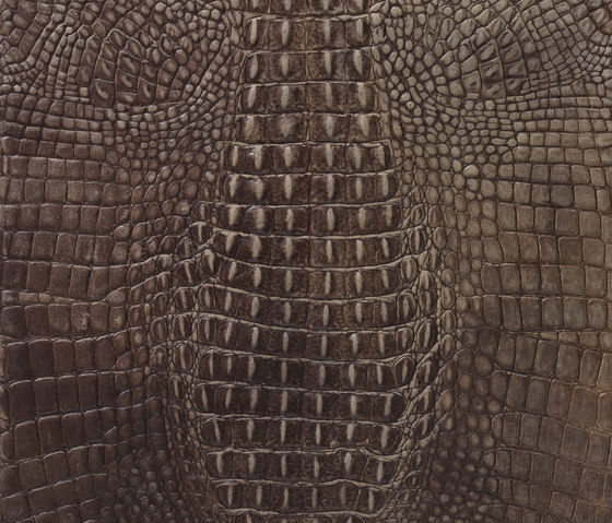 Kaiman | Leather tiles | Alphenberg Leather
