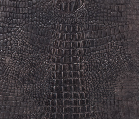 Kaiman Choclat | Piastrelle cuoio | Alphenberg Leather