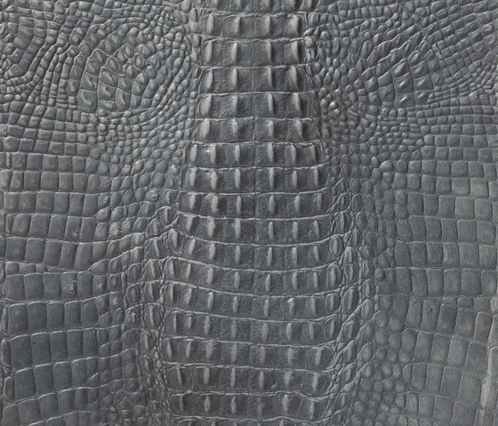 Kaiman Grey | Leder Fliesen | Alphenberg Leather