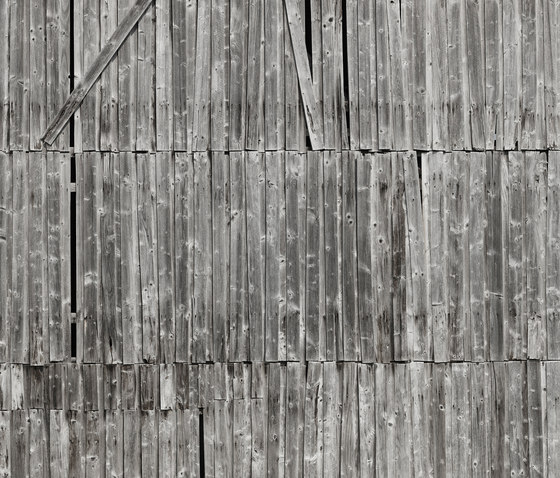 Wood wall 02 | Wandbilder / Kunst | CONCRETE WALL