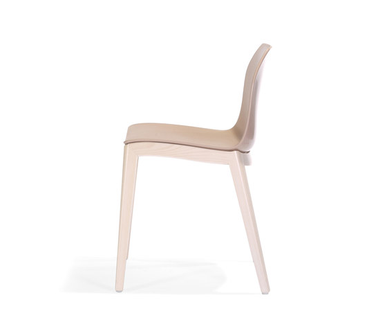 Kaori Chair W | Sillas | Accademia