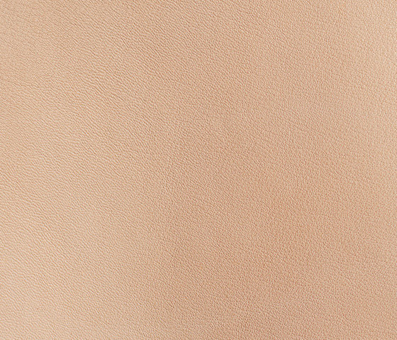 Alpaca Vanille | Upholstery fabrics | Montis