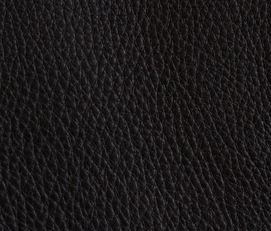 Habanna Black | Upholstery fabrics | Montis