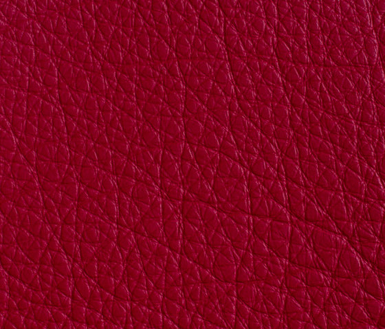 Habanna Red | Upholstery fabrics | Montis