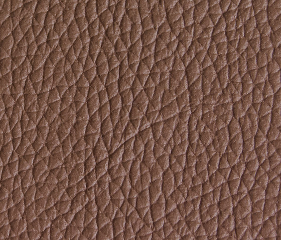 Panama 5090 | Upholstery fabrics | Montis