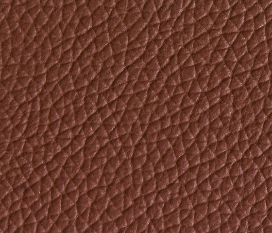 Panama 5100 | Upholstery fabrics | Montis