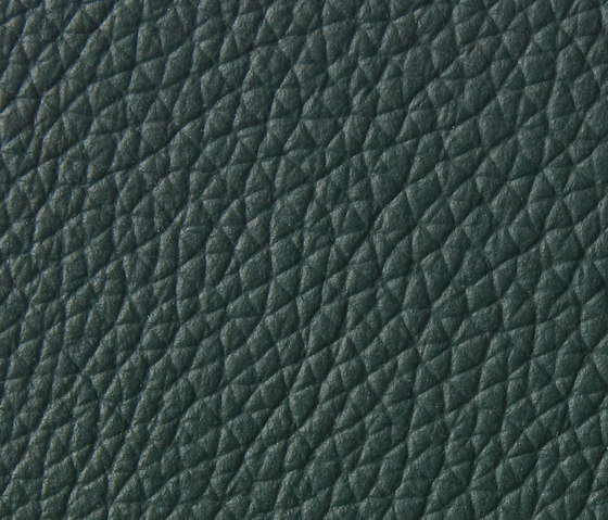 Panama 5160 | Upholstery fabrics | Montis
