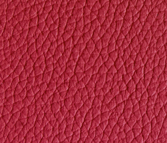 Panama 5200 | Upholstery fabrics | Montis