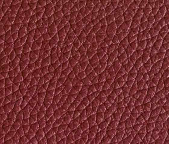 Panama 5210 | Upholstery fabrics | Montis