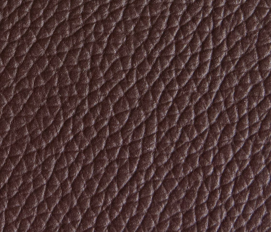 Panama 5220 | Upholstery fabrics | Montis