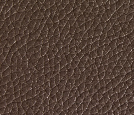 Panama 5400 | Upholstery fabrics | Montis