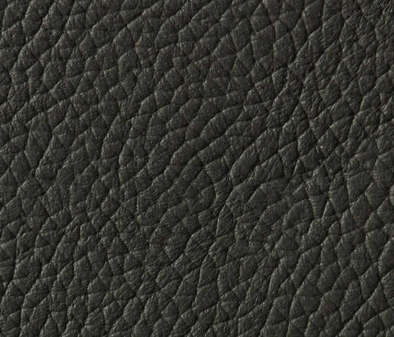Panama 5310 | Upholstery fabrics | Montis