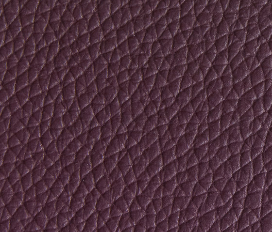 Panama 5460 | Upholstery fabrics | Montis