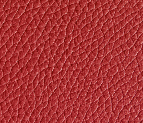 Panama 5370 | Upholstery fabrics | Montis