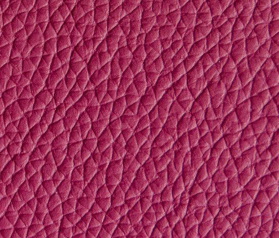 Panama 5450 | Upholstery fabrics | Montis