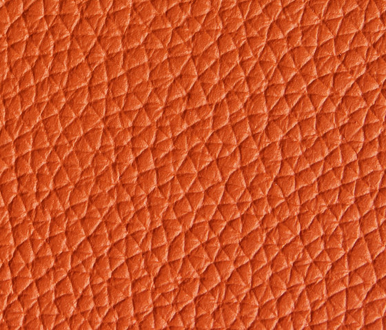Panama 5360 | Upholstery fabrics | Montis