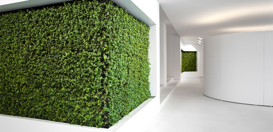 Project - Grüne Wand® | Pflanzenwände | art aqua